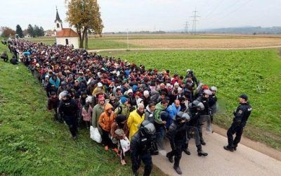 REFUGIADOS